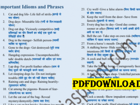 Idioms And Phrases With Hindi Explanation PDF