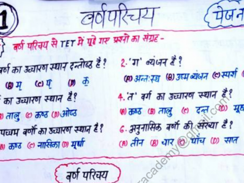 TET CTET Objective Sanskrit Handwritten Notes PDF