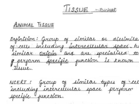 class 11 biology handwritten notes pdf for neet Archives - PDF Download