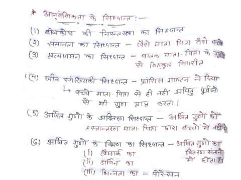 3rd Grade Teacher Child Psychology Notes in Hindi