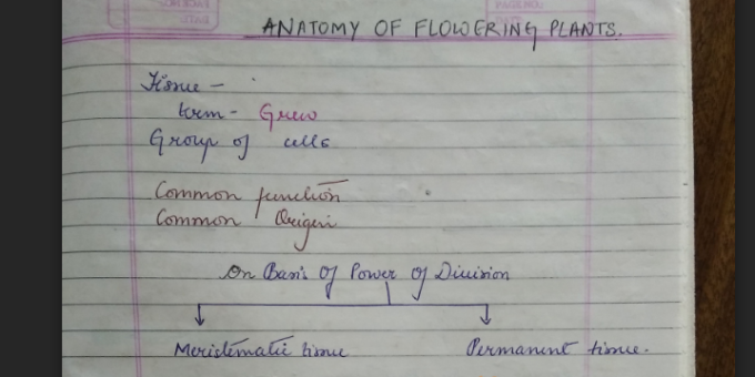 Anatomy of Flowering Plant notes pdf for NEET