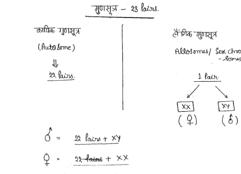 BPSC Complete General Science handwritten notes in Hindi pdf