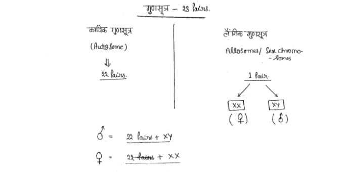 BPSC Complete General Science handwritten notes in Hindi pdf
