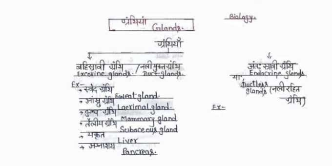 Biology handwritten notes in Hindi pdf for RRB NTPC