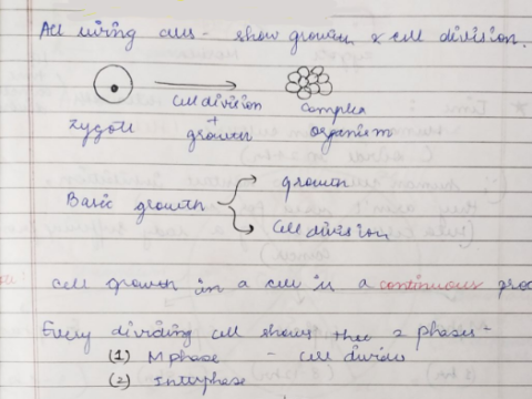 Cell cycle and cell division handwritten notes pdf