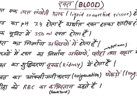 Digestive system handwritten notes in Hindi pdf