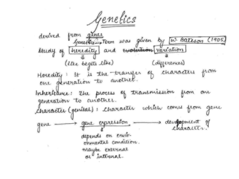 NEET complete Biology Handwritten Notes in English