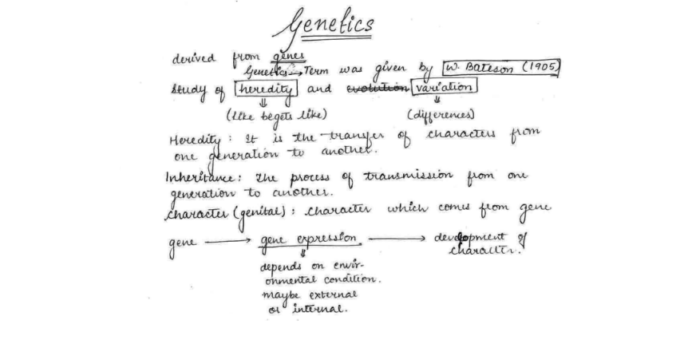 NEET complete Biology Handwritten Notes in English