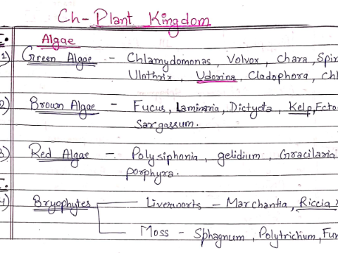 animal kingdom handwritten notes for neet Archives - PDF Download