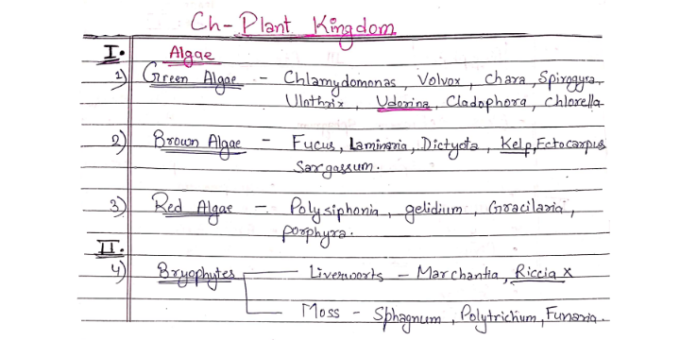 Plant kingdom handwritten notes for NEET