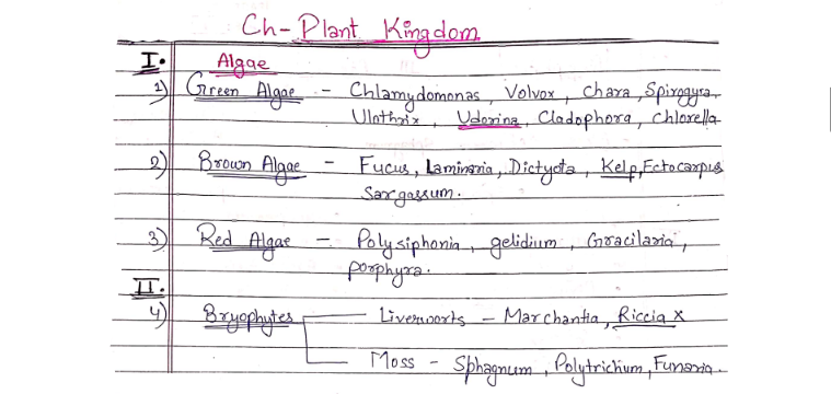 Plant kingdom handwritten notes for NEET - PDF Download