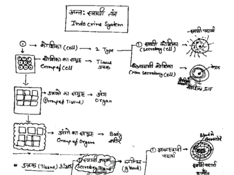RAS Prelims General science notes in Hindi pdf
