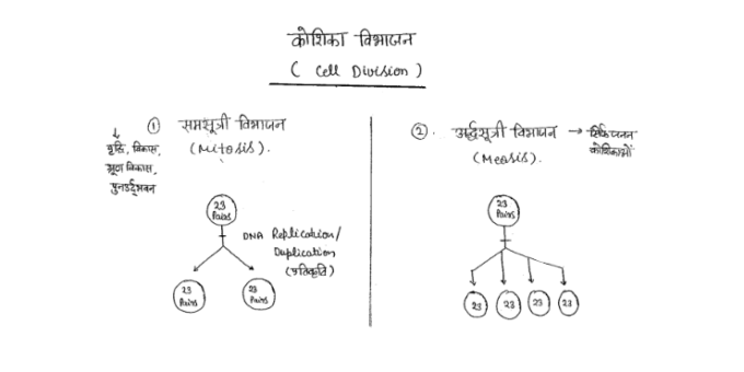 Railway Group D General Science handwritten notes in Hindi pdf
