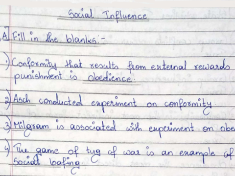 Social Influence handwritten notes in English pdf
