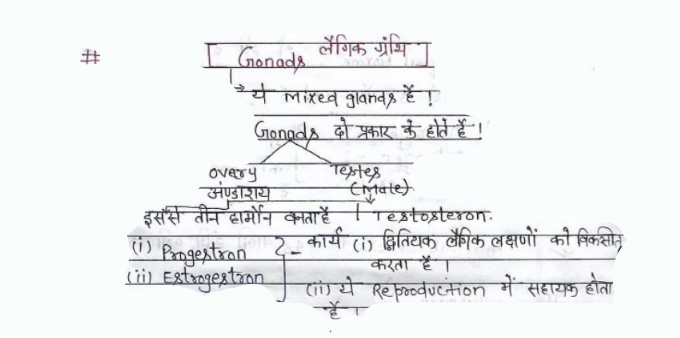 UP TGT Biology Notes in Hindi PDF Download