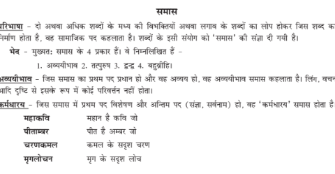 DSSSB PGT Hindi Grammar Q&A notes pdf 2023