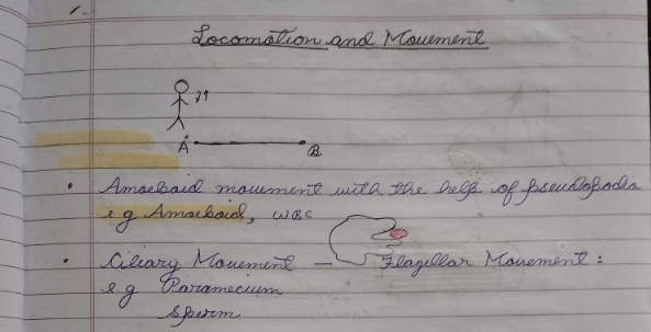 Locomotive and Movements handwritten notes pdf in English
