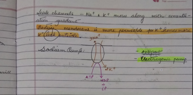 Neural Control and Coordination notes pdf in English