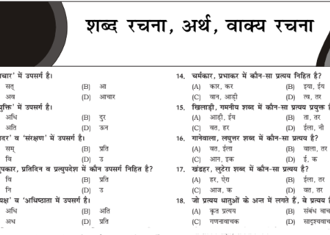 RSMSSB CET EXAM Hindi Grammar Q&A notes pdf 2023