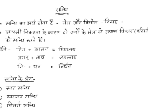 Rajasthan High Court LDC Hindi grammar handwritten notes pdf