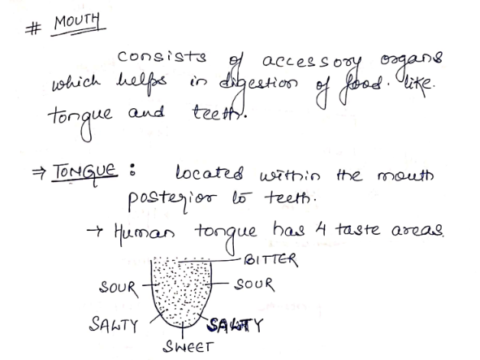 Biology handwritten Notes pdf in English