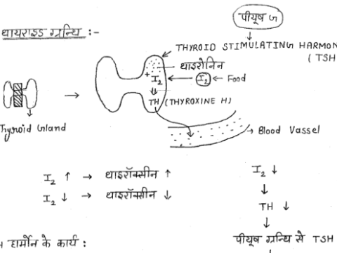 Biology handwritten Notes pdf in Hindi for ISRO Assistant