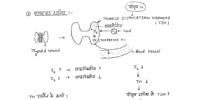 Biology handwritten Notes pdf in Hindi for ISRO Assistant