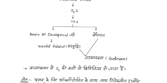 Biology handwritten Notes pdf in Hindi for NTPC EXAM