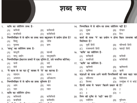 Hindi Vyakaran Question Answer PDF