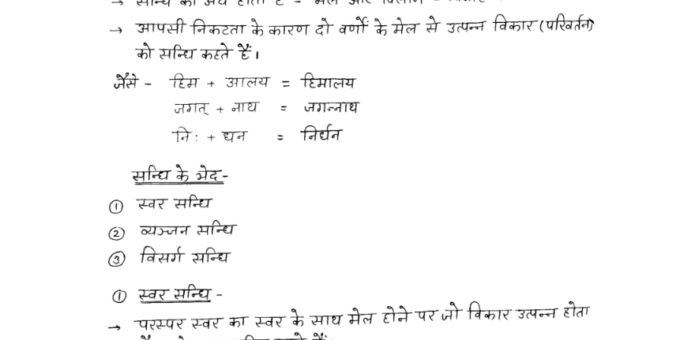 MP HSTET Hindi Grammar handwritten notes in Hindi pdf