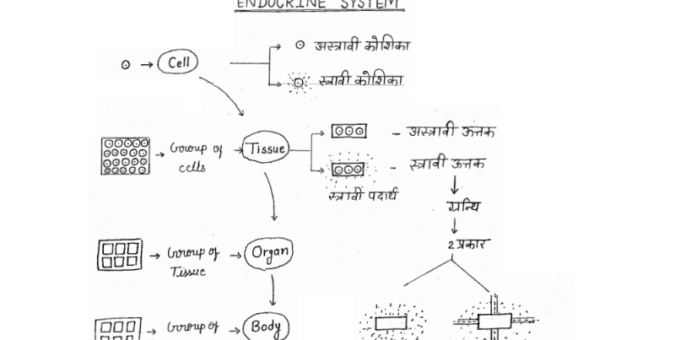 UGC NET Complete Biology handwritten Notes pdf in Hindi