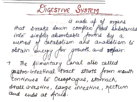 Complete Biology handwritten notes pdf in English