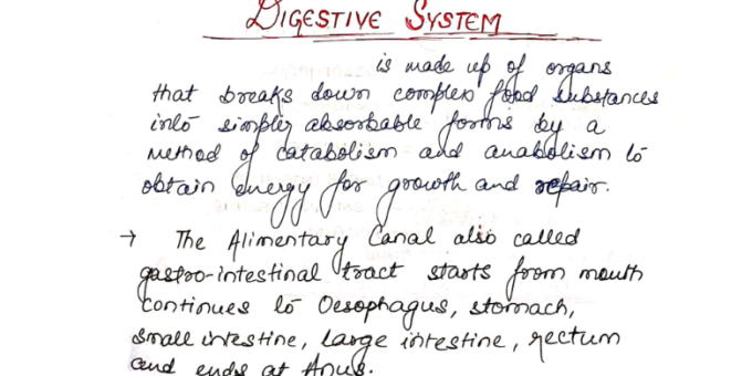 Complete Biology handwritten notes pdf in English