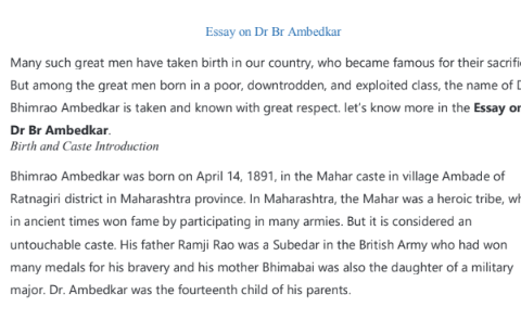 Dr. B R Ambedkar essay notes in English pdf