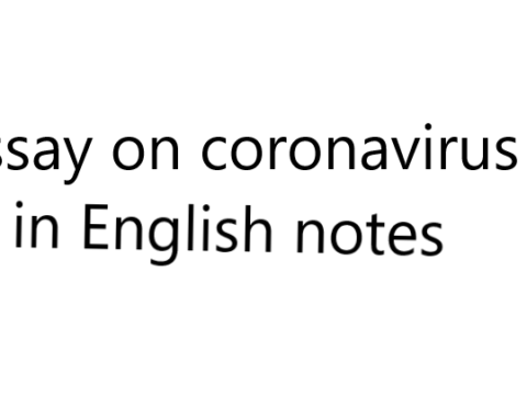 Essay on coronavirus in English notes