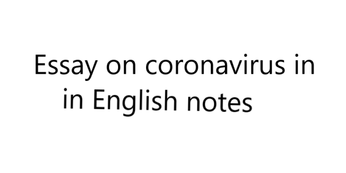 Essay on coronavirus in English notes
