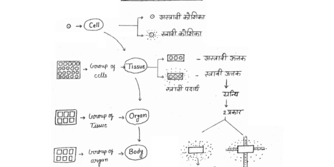 HPSC (HDO) Biology handwritten notes pdf in Hindi
