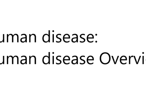 Human disease: Human disease Overview