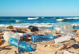 Plastic Pollution Essay in English For Students 2023