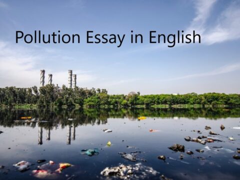 Pollution Essay in English for Students