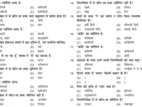 RAJ HC LDC Hindi Grammar MCQs in Hindi pdf 2023