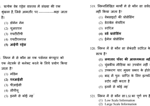 RSMSSB Informatics Assistant Computer MCQs in Hindi pdf