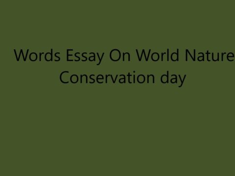 Words Essay On World Nature Conservation day