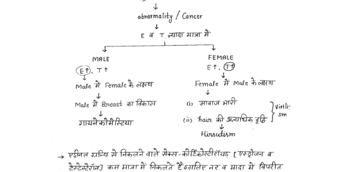 Best Biology- Handwritten Notes pdf in Hindi
