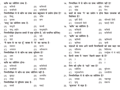 Best Objective Type Hindi Grammar pdf for Bihar SI
