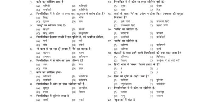 Best Objective Type Hindi Grammar pdf for Bihar SI