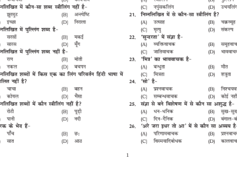 Best Objective Type Hindi Grammar pdf for RAJ CET CBT-2