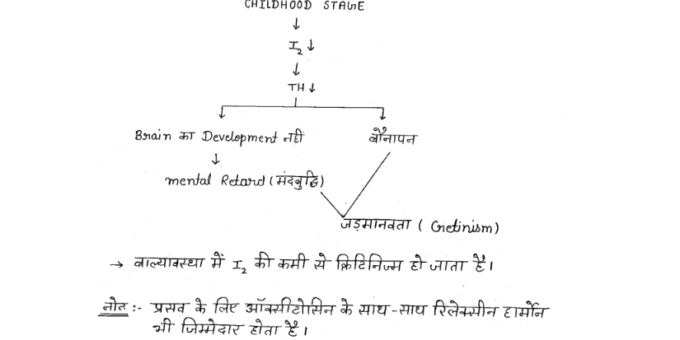 Biology handwritten Notes pdf in Hindi for BSSC EXAM