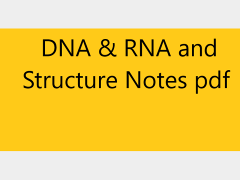 DNA & RNA and Structure Notes pdf