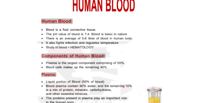 Human Blood Notes for SSC & UPSC EXAM